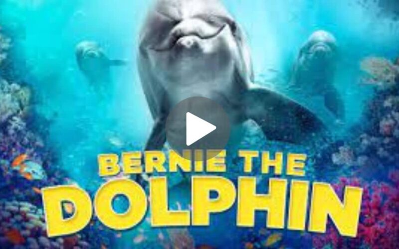 Bernie The Dolphin Movie Download (2024) Dual Audio Full Movie 720p | 1080p