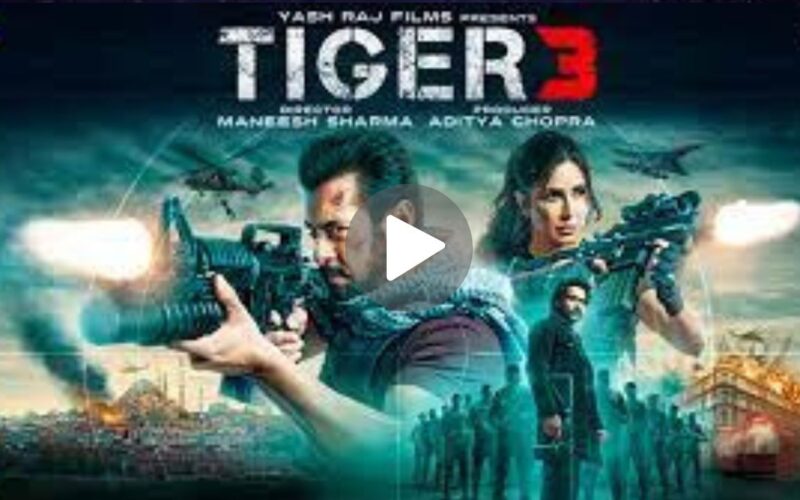 Tiger 3 Movie Download (2024) Dual Audio Full Movie 720p | 1080p